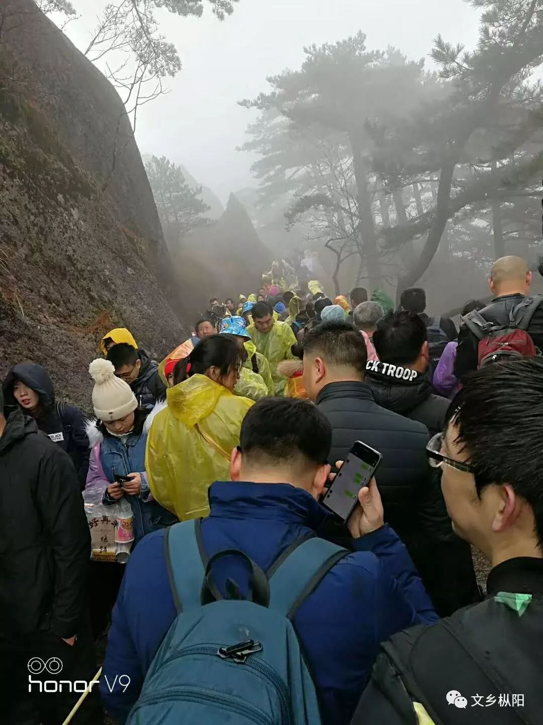 枞阳人口有多少_枞阳荷叶田田