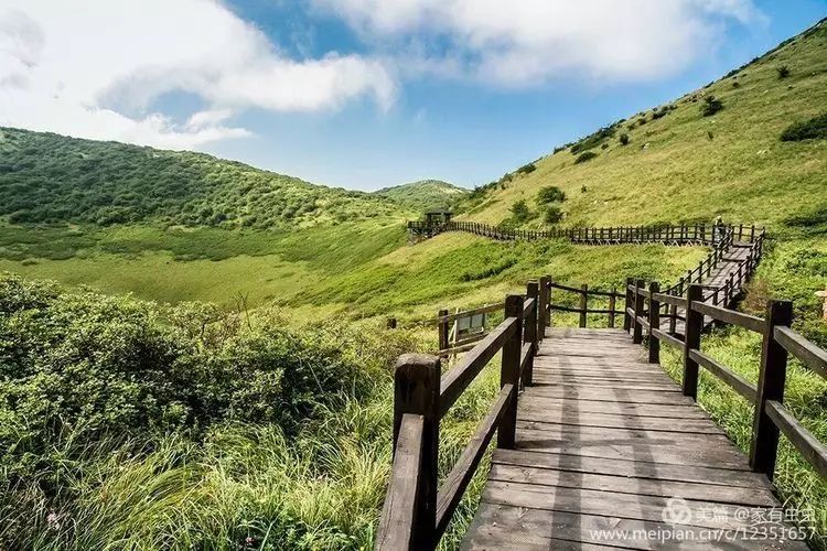 注意!留坝紫柏山国家森林公园闭园啦!