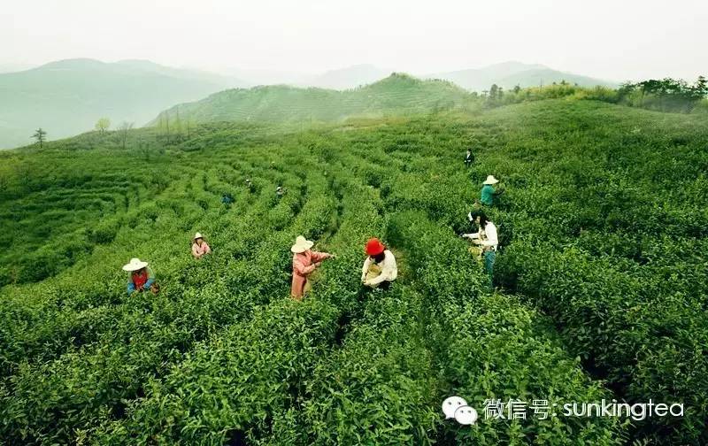 萧山常居人口_萧山机场图片