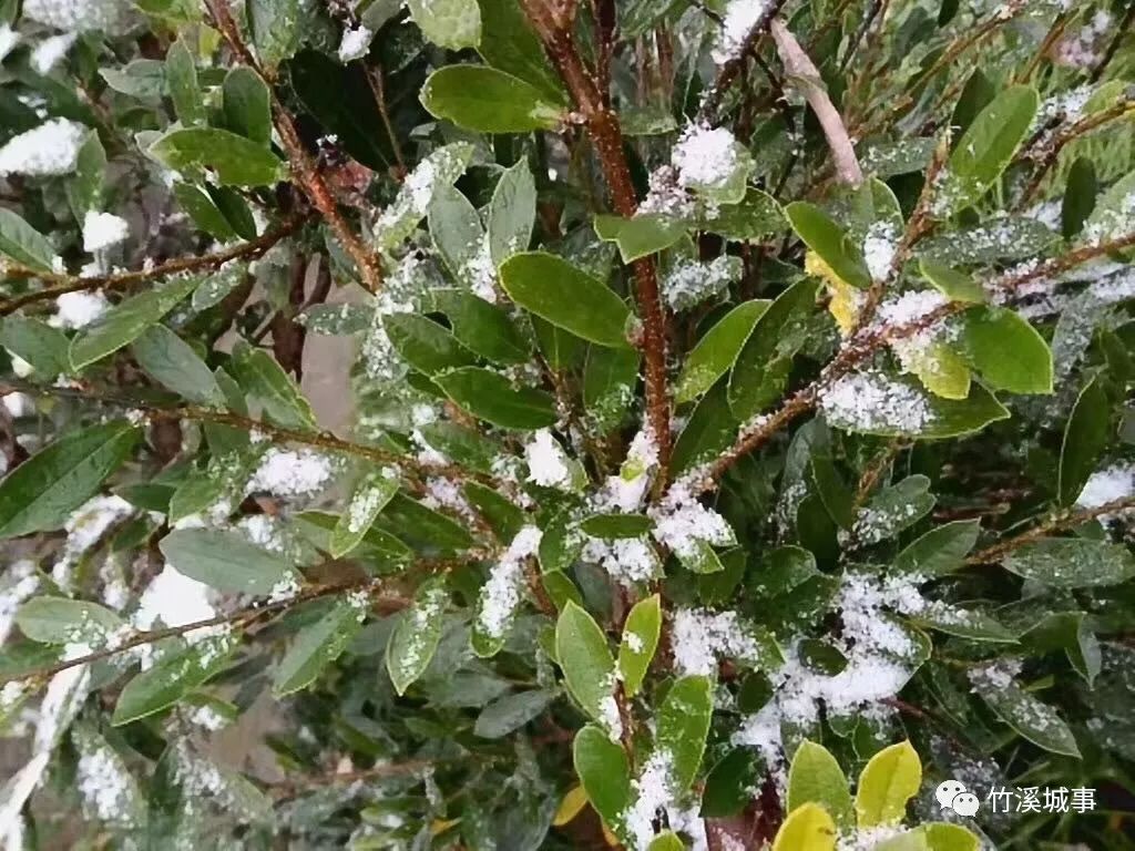 竹溪南部山区竟然下起了雪米子!