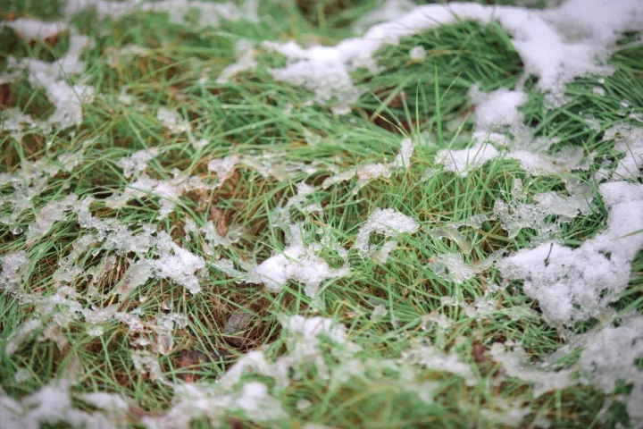 宁县下雪了,约起 一起去看雪!