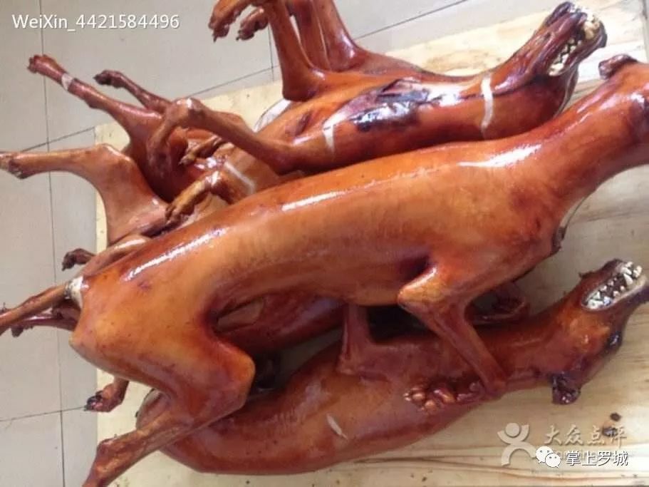 罗城古乐牛香店于11月18日正式推出正宗玉林狗肉
