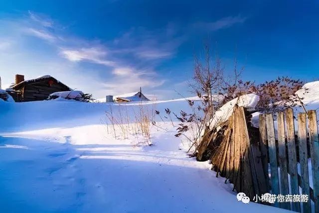 小树旅游〗吉林雪村12月09日-10日摄影2日游.火热报名中.