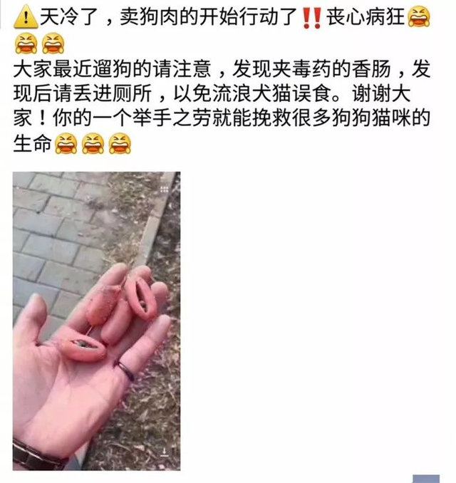 小狗吃了香肠皮怎么办