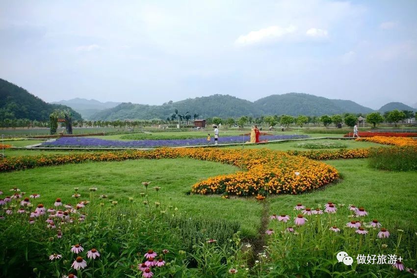 义乌的这个小山村全民众筹500万打造梦幻景区,连卖麻糍的农户都年入70