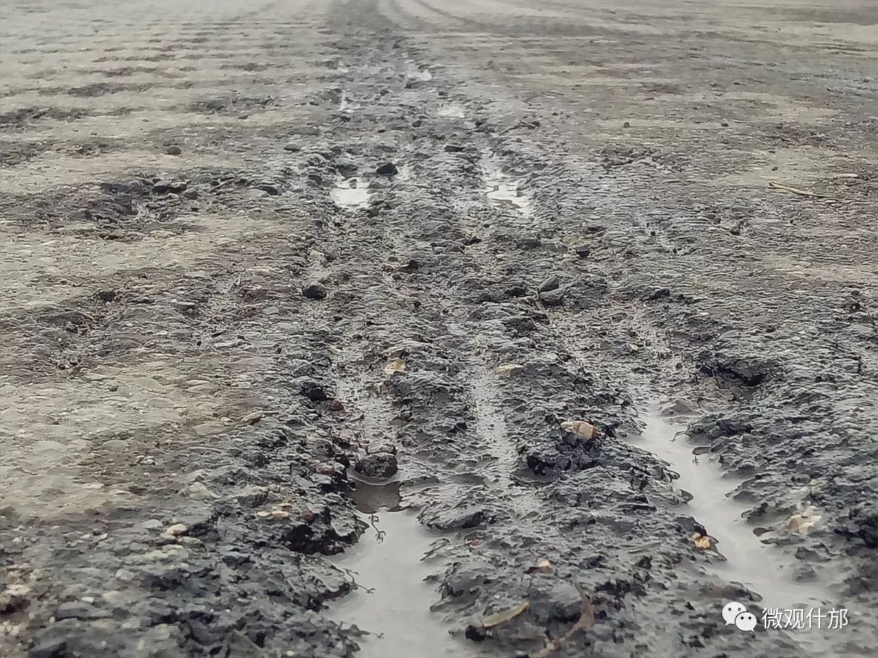 发现此路路面坑坑洼洼的.