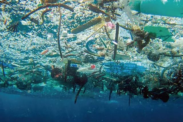 充斥塑料垃圾的海洋