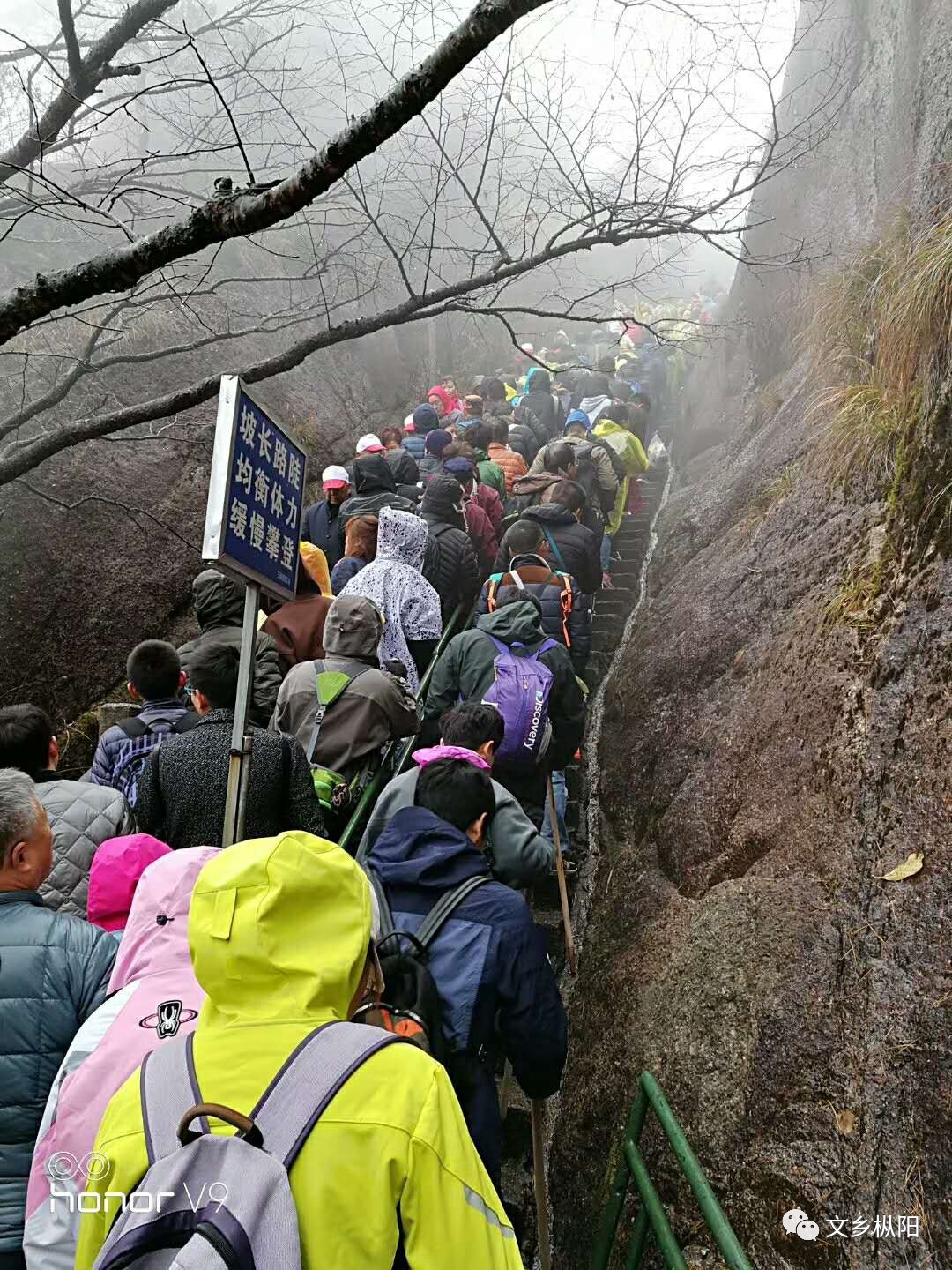 枞阳人口有多少_枞阳荷叶田田