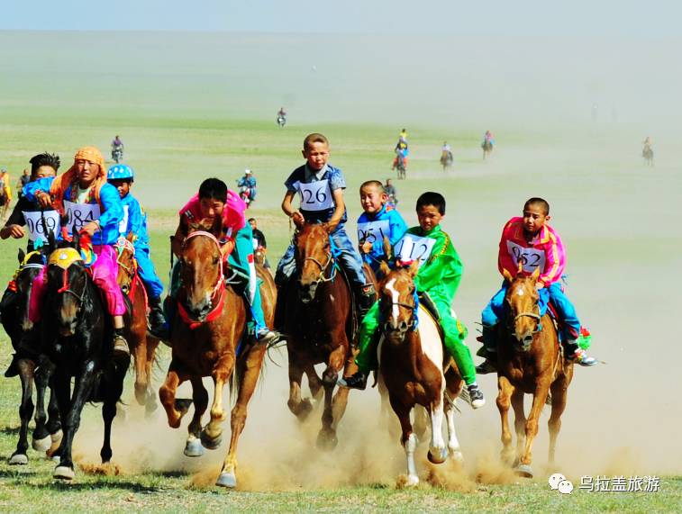 【人文资源】乌拉盖草原上的节庆之赛马