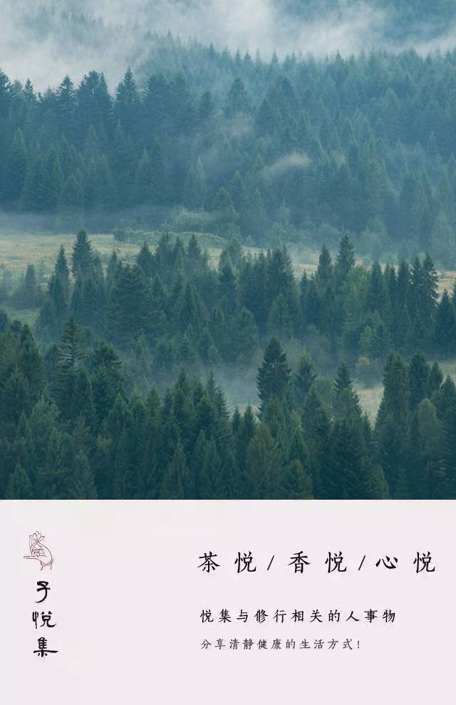 半山听雨简谱_半山听雨简谱洞箫