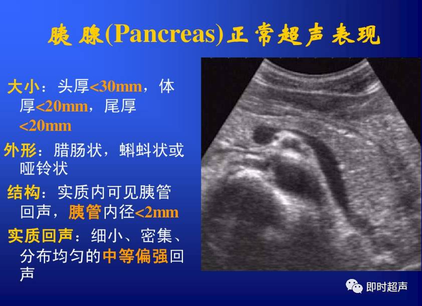 胆道及胰腺超声检查