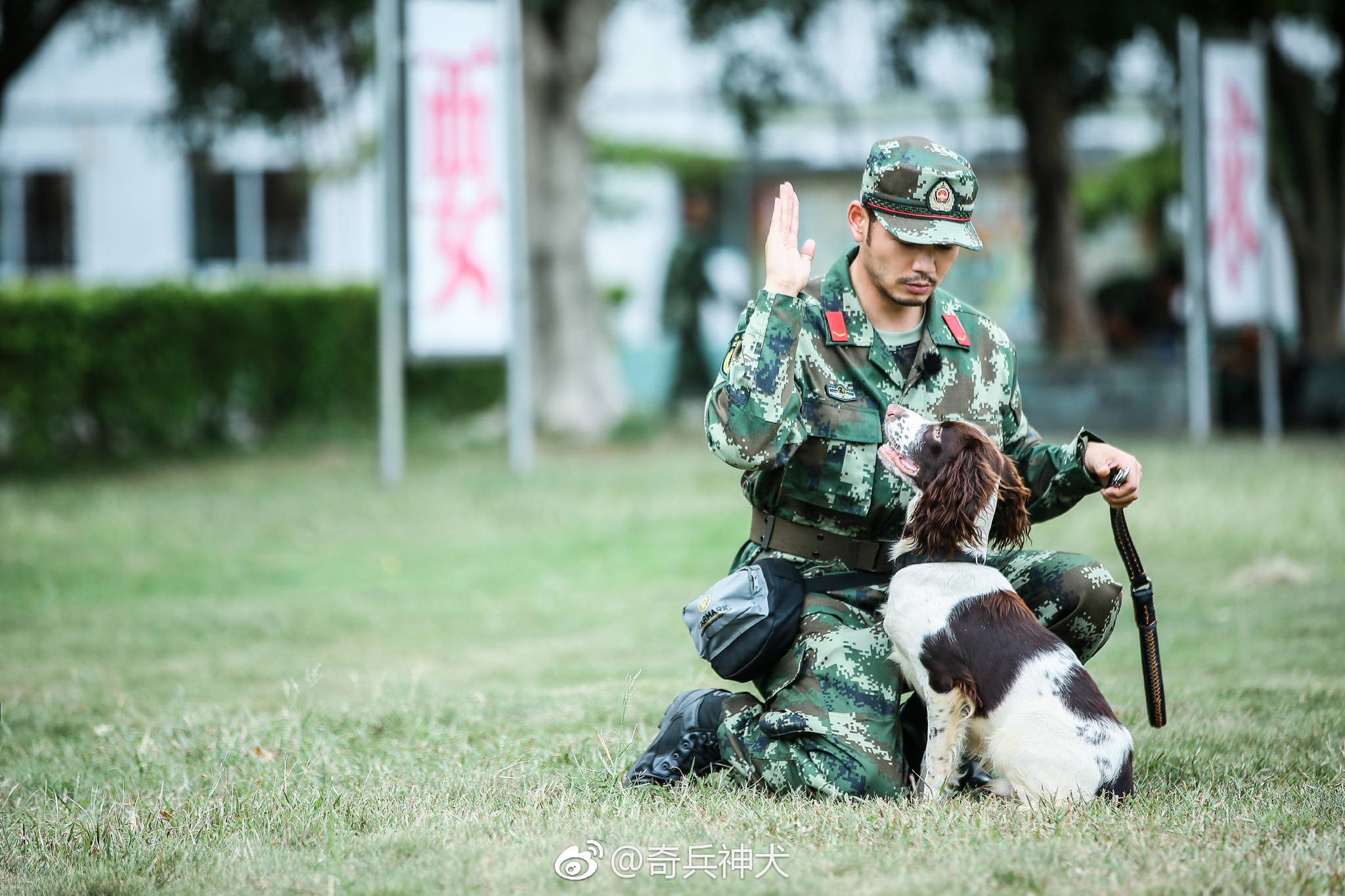 杨烁《奇兵神犬》画风清奇 一边"铲屎官"一边"大家长"