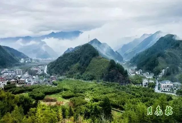 喜大普奔!天目山镇这个村被评上全国文明村啦!