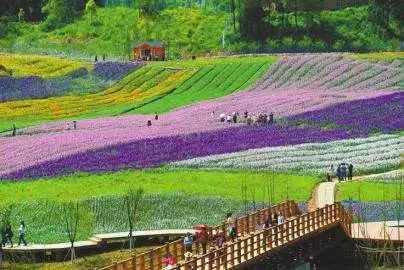 花田酒地