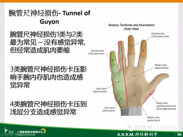 了解24个卡压综合征尺腋桡神经