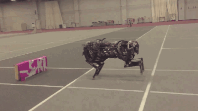 "小狗"也是 darpa出钱研究的,是一款用来研究移动的四足机器人样机