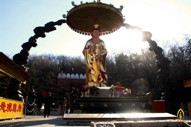 【寺院风采】游记攻略——"世界之最"鞍山玉佛寺,佛光