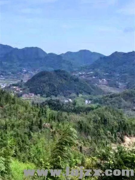 都说木鱼山是块风水宝地,谁有缘葬了祖坟,下代能出宰相,官至一品