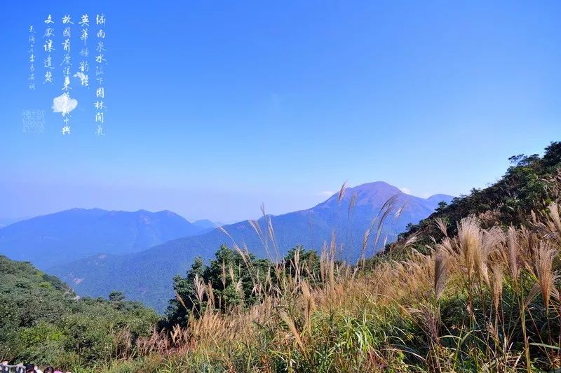 门票:免费 地址:惠州市惠阳区银瓶路白云嶂森林公园 自