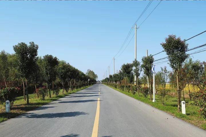 "十一"前夕,已有350公里的农村公路完成了升级改造,铺上了柏油