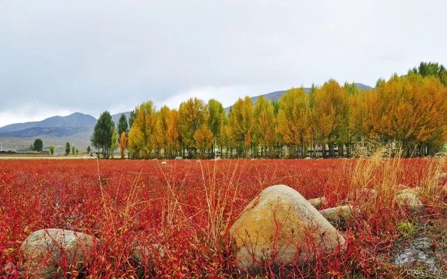 中国造价2000亿的川藏铁路曝光，坐火车从成都到拉萨只要13小时，票价300元多一些 ..._图1-19