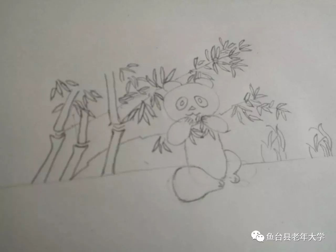 趁着兴奋,又给大家一个好玩的教题,教画小熊猫吃竹子,老师所讲具体