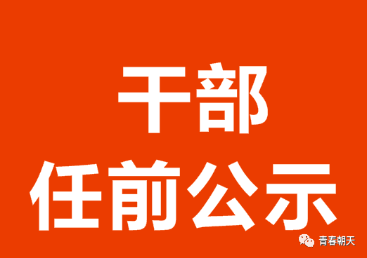 朝天区国企干部任前公示