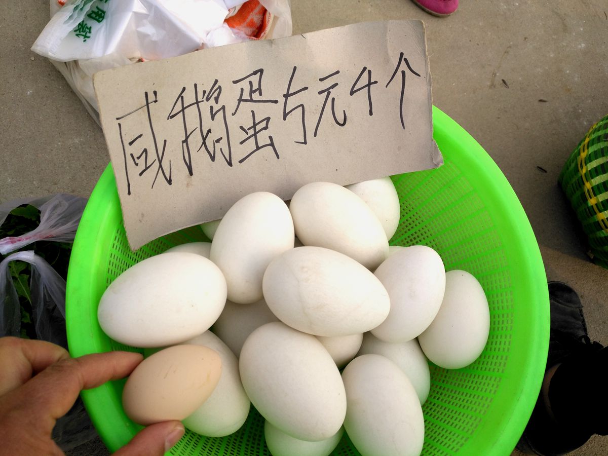 鹅蛋有什么营养价值？它和其它蛋类有什么区别？_胆固醇