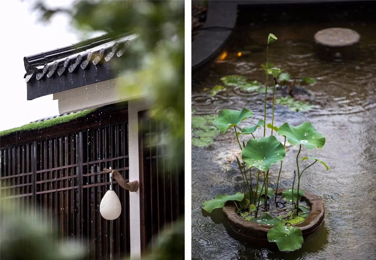 雨天的玖间堂,禅意更浓了.