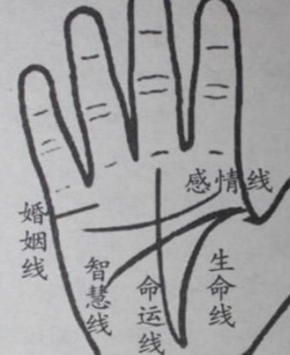 周易命理师傅:手中有三角纹则吉,若三角纹未形成则害