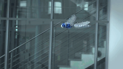 德国Festo设计生产出各种异常逼真的仿生动物机器人