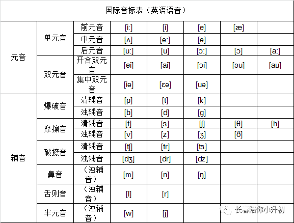 48个音标大全