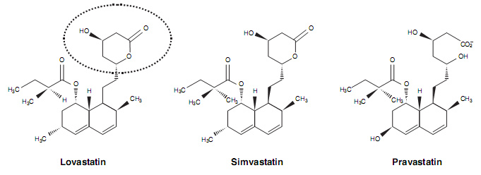 洛伐他汀 辛伐他汀 普伐他汀