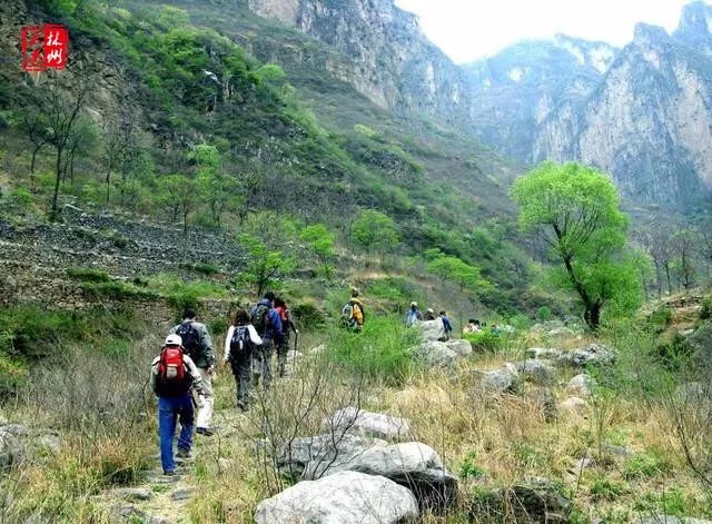 林州合涧镇小屯村人口有多少_林州科目三小屯平面图(3)