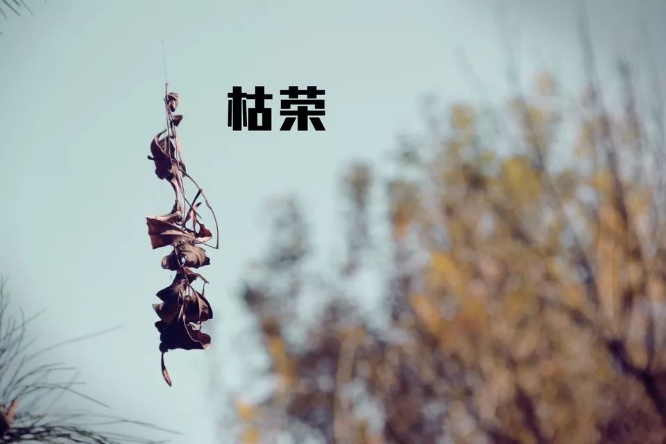 成语燎什么摧枯_成语故事简笔画