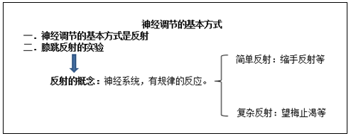 初中生物教案《神经调节的基本方式》