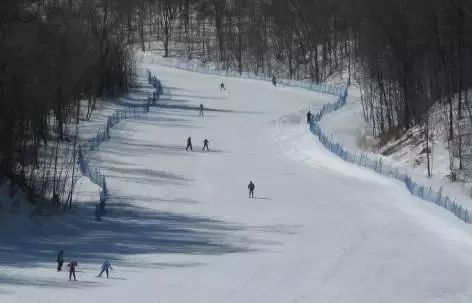 谈球吧体育滑雪的小知识与安全注意事项(图5)