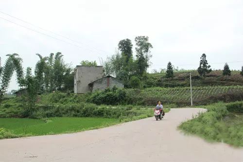 富顺县童寺镇童寺镇位于富顺县东部,是省级小城镇建设试点镇,是县"五