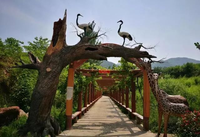 伊川鹤鸣峡"登山祈福节"快开始了,趁人少赶快来瞅瞅吧