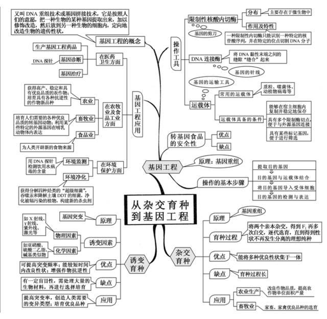 干货|高中生物思维导图,囊括高中生物所有知识点,聪明