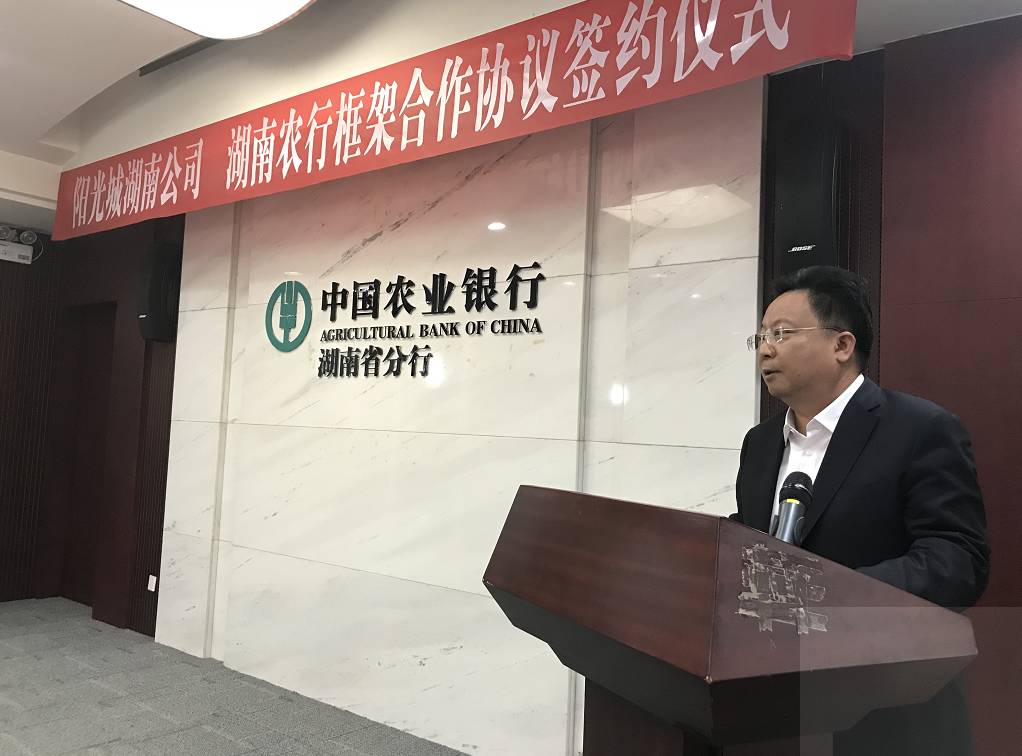 中国农业银行湖南省分行副行长金平阳光城集团湖南有限公司总裁陈良良