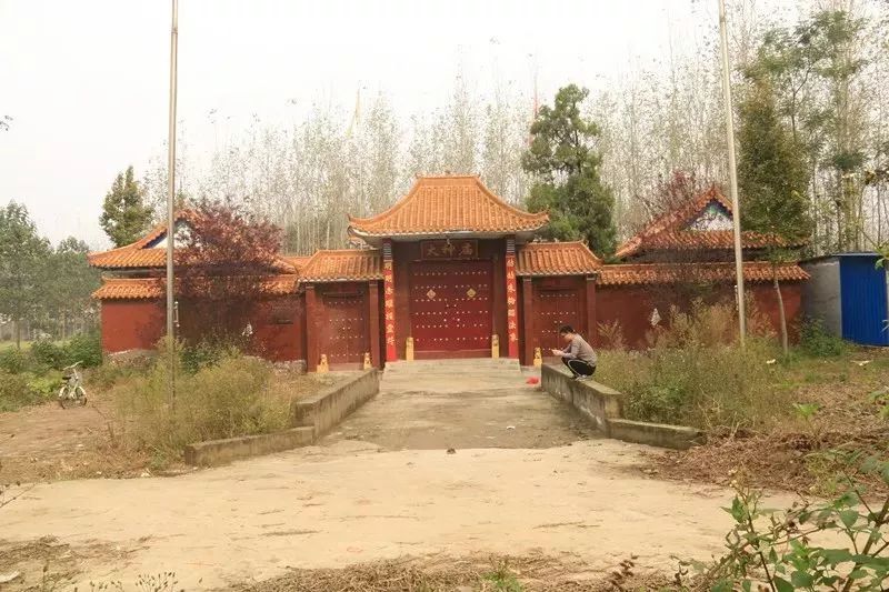 项城莲溪书院旧址省一四五一粮食储备库(项城旧县衙所在地)老城大槐树