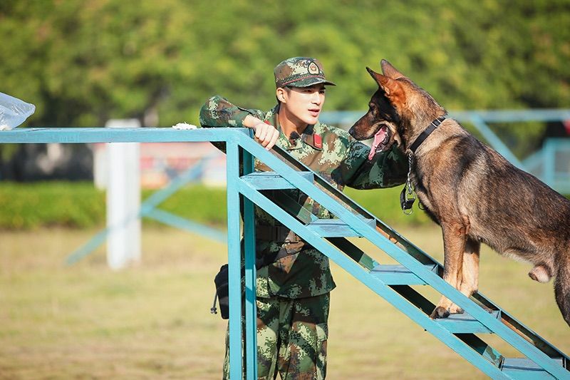 湖南卫视《奇兵神犬》断桥跳跃开练,姜潮杨朵兰另类特