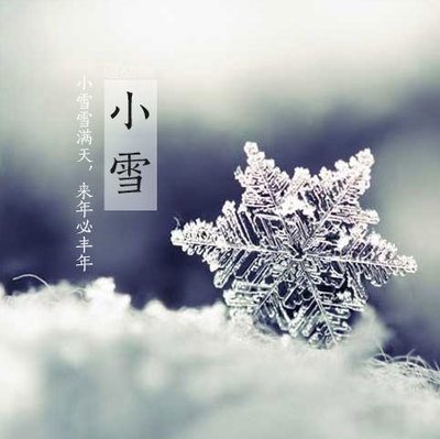 今日"小雪"