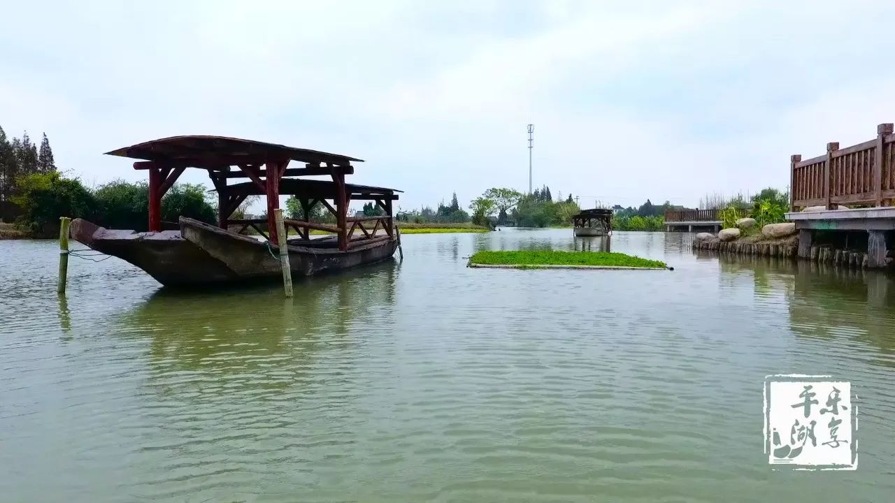 【平湖好风景】惊艳!曹桥这条公路风景美如画!司机如同钻进了"画框"