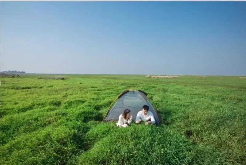 重要通知 | @鄱阳湖大草原帐篷狂欢节