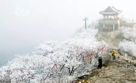 济南千佛山雪景