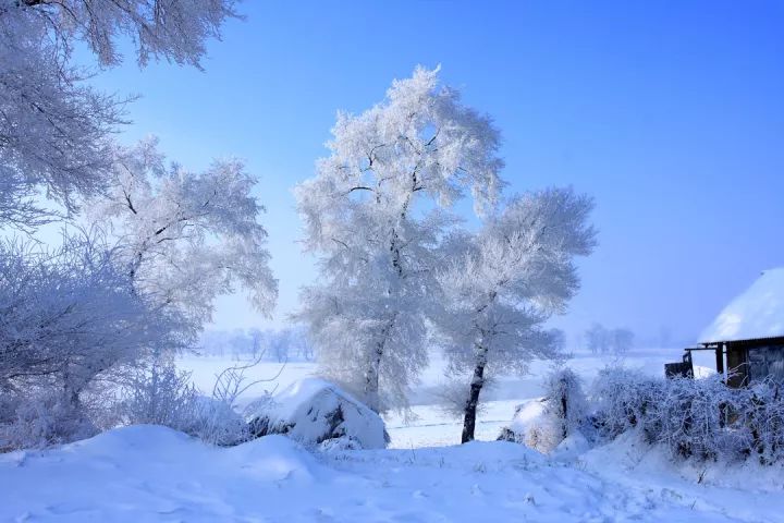 赏雪,玩雪!冬捕,温泉,长白山!雾凇!