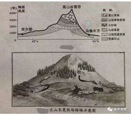 材料二:天山自然带示意图和天山冬夏牧场转场示意图.