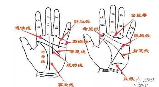 秒懂手相:从手指痣和斗预测福祸